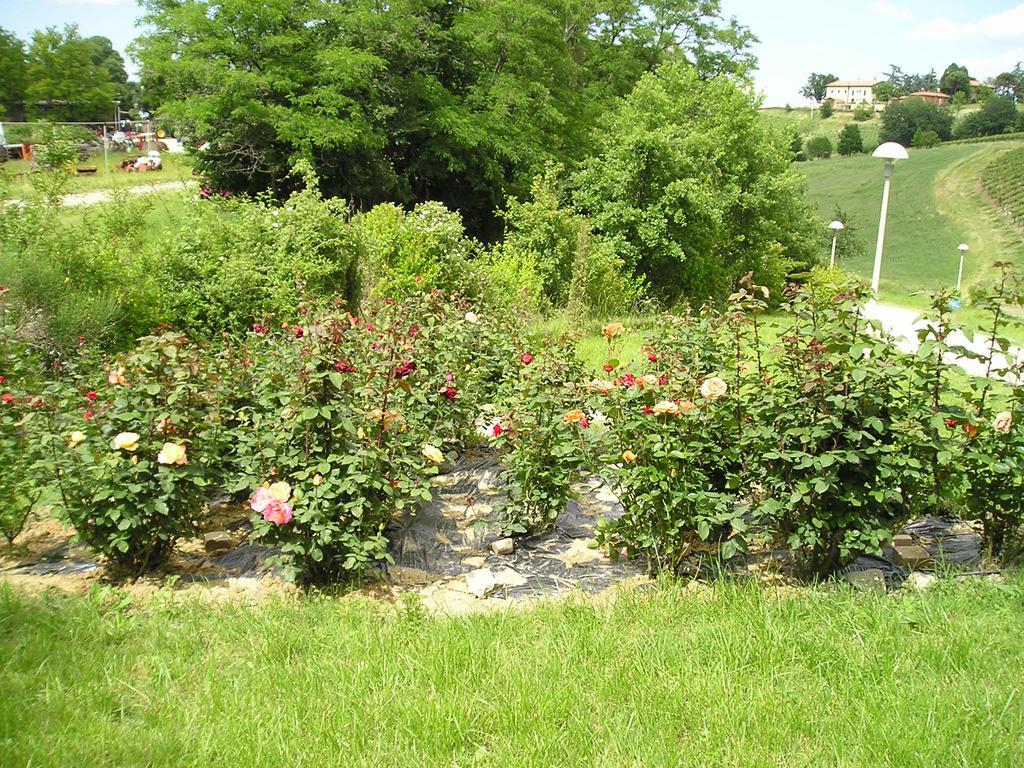 Agriturismo Gaggioli Borgo Delle Vigne Zola Predosa Exterior photo