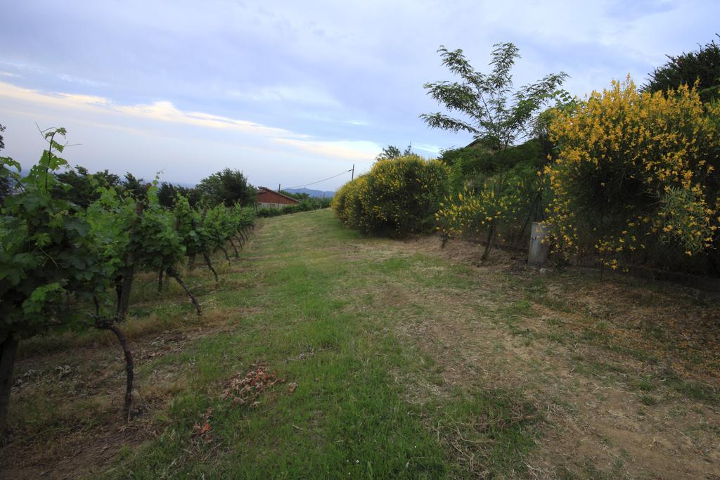 Agriturismo Gaggioli Borgo Delle Vigne Zola Predosa Exterior photo
