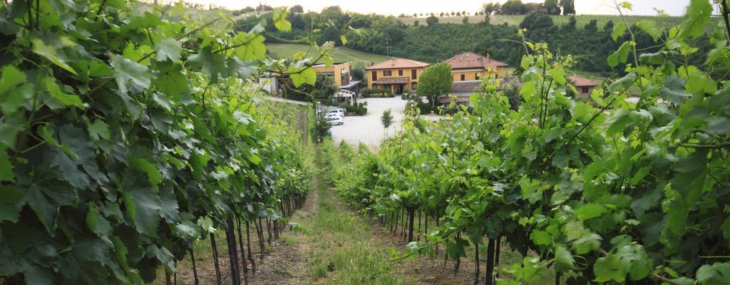 Agriturismo Gaggioli Borgo Delle Vigne Zola Predosa Exterior photo